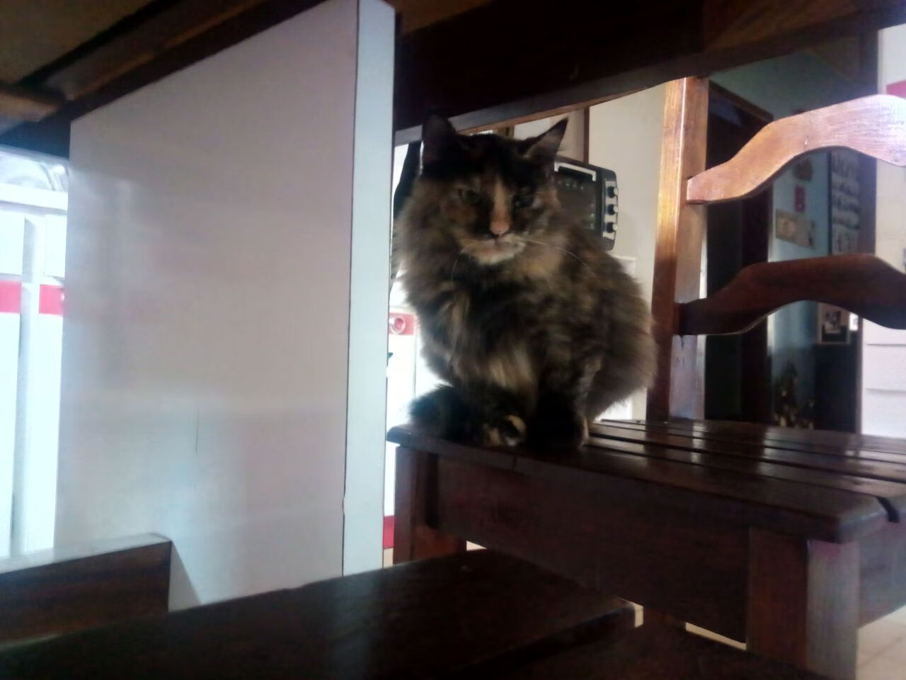 开云网址入口-博塔弗戈核心球员受伤影响全队部署，博塔弗戈队服