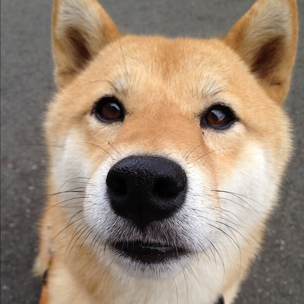 Kering-足球比赛数据分析纳入教练日常评估流程，足球队数据分析