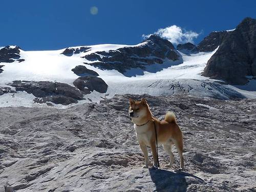 开云·体育官网-“埃尔斯·霍斯特为南非队创造无懈可击的防守”